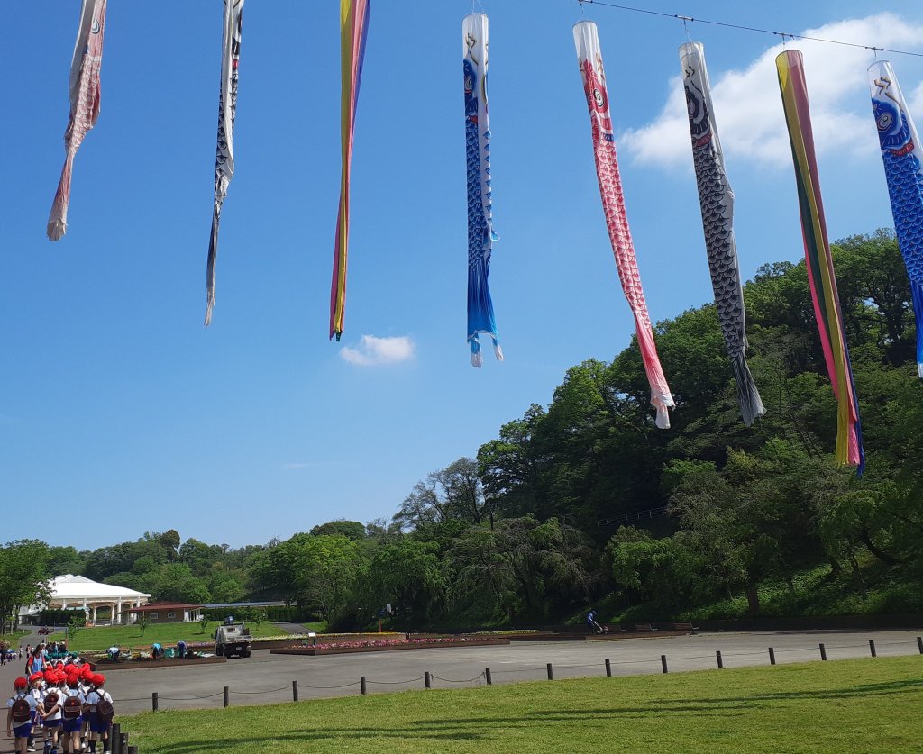 遠足・こどもの日のお祝い